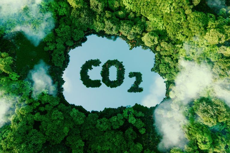 Mit austria.com/plus und „Seenthis“ positiv zum Klimaschutz beitragen und den CO2-Ausstoß von digitalen Werbemittel reduzieren